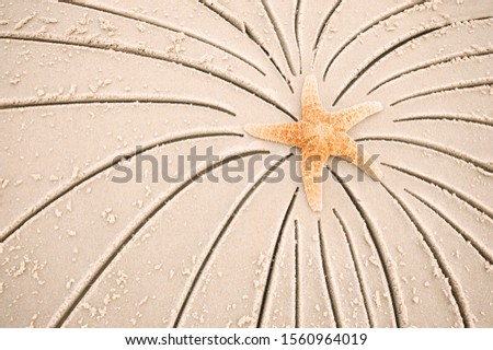 Starfish with festive starburst lines drawn in the sand for a beach theme holiday background