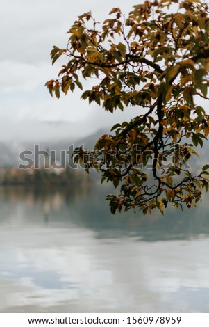 View of the most scenic place in Slovenia. Lake Bled in the Upper Carniolan region of northwestern Slovenia