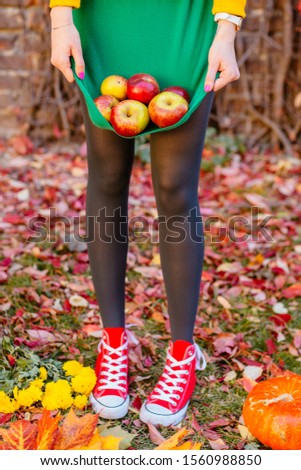 Vertical view of unrecognizableyoung female hands holding apples in a green sweater. Selective focus, shallow. Autumn mood. Slim woman in red sneakers with fruits at autumn garden. View from above.