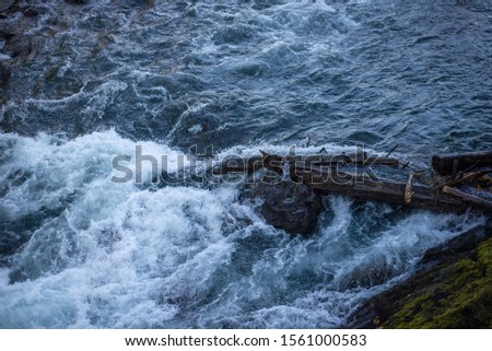 rough water of the Altai river