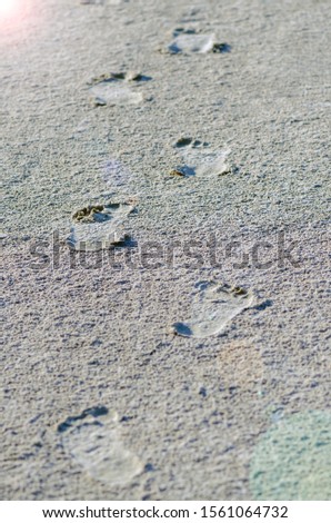 way to happiness. road to success. steps to the goal. the road begins with the first step. concept of the beginning of a new life. footprints on wet sand