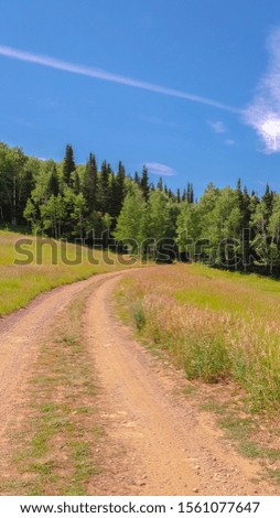 Vertical frame Hiking trails amid grasses on a mountain in Park City Utah during off season