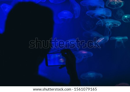 Mobile photo, people take pictures of jellyfish in aquarium