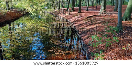 Autumn tree leaves reflected in water celestial terrestrial