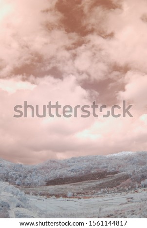 infrared photo of nature land
