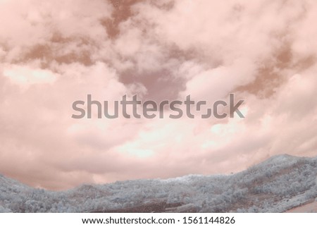 infrared photo of nature land