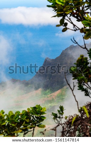 Beautiful aerial view of the Kalalau Valley with some thick mist clouds and the ocean in the background on a sunny day. Steep cliffs and beautiful, lush colors. Shot on Kauai, Hawaii USA.