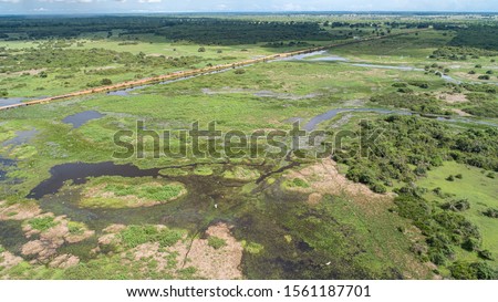 Aerial view of wonderful Pantanal Wetlands landscape with Transpantaneira road and water birds, Mato Grosso, Brazil