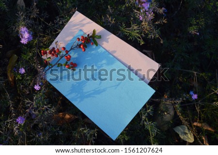 card mockup with purple  flowers , colorful plants background