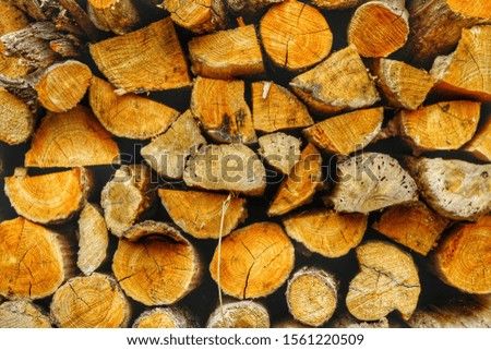 Stacked firewood in Shirakawa-Go, Gifu, Japan 