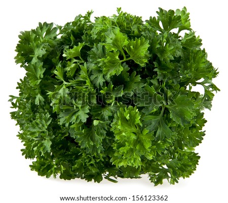 parsley isolated on a white background. One picture from series.