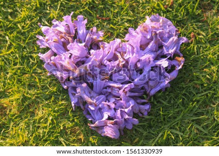 Purple petals in shape of heart on grass