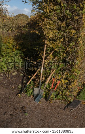 Row of Garden Tools Resting against a Beech Hedge in a Country Cottage Garden