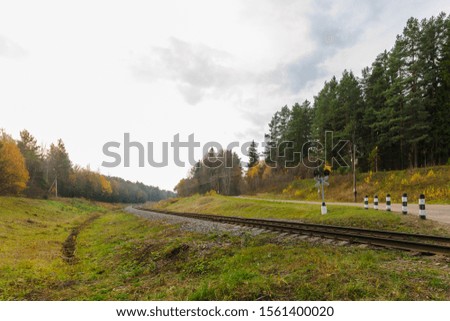 railway rails stretching into the distance. the railway is surrounded by autumn nature