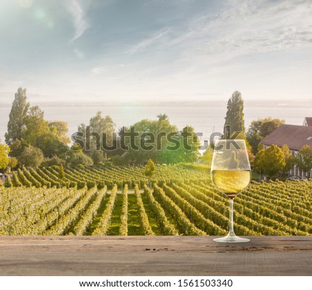 Glass of white wine on wooden rail with country rural scene in background. Green leaves and calm summer sunshine day. Copyspace. Alcohol drinks on backyard of big house. Delicious and tasty. Royalty-Free Stock Photo #1561503340