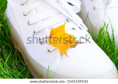Autumn concept. Female legs in white sneakers on a green lawn with a fallen leaf, autumn leaves concept.