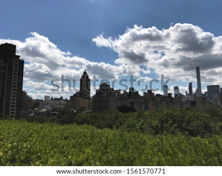 New York City Sky Line