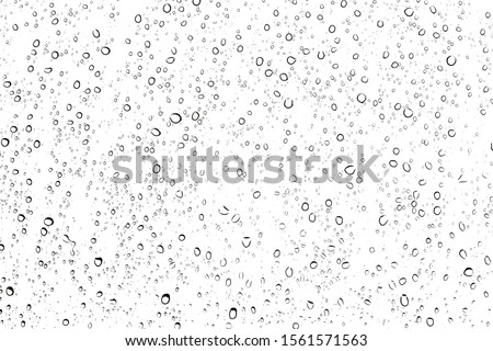 Water rain drops or water drops on white background, Water bubbles underwater background, water drops on glass Royalty-Free Stock Photo #1561571563