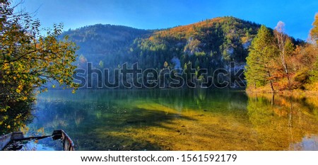 Reflection of the woods and mountain 