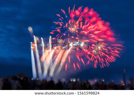The beautiful colorful fireworks in the night sky - perfect for a background