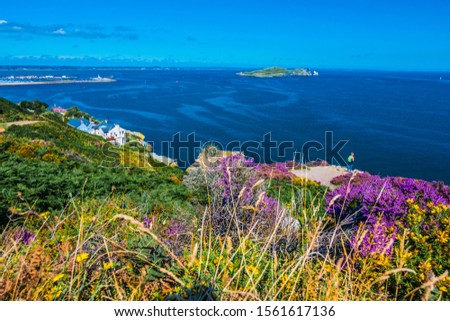 Howth cliffwalk in Ireland. View over irish sea to the Irelands Eye. Colorful flowers along the path. Clear blue sky at sunny day in august. Royalty-Free Stock Photo #1561617136