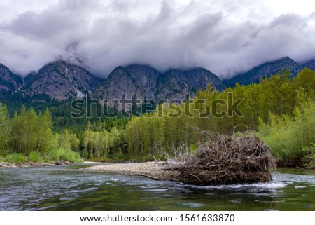 A beautiful shot of the Bella Coola River in  BC, Canada under the cloudy sky