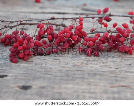 red berry berry on christmas wooden rustic table

