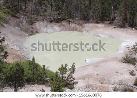 A big sulfur water pit with muddy water surround by trees. 