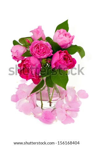 pink roses over white