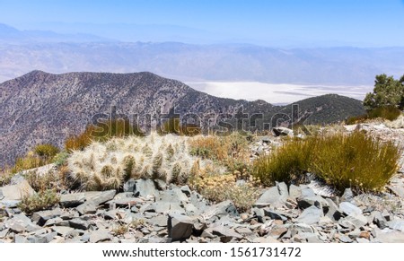 Views of Death Valley and the Sierra Nevada Mountains from Wildrose Peak. Death Valley National Park, California, USA.
