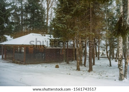 wooden house in a winter forest near the lake