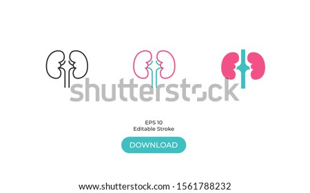 Kidney Icon in 3 Different Version. Editable Stroke. EPS 10 Royalty-Free Stock Photo #1561788232