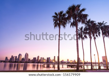 California Palm Trees and City of San Diego, California USA 