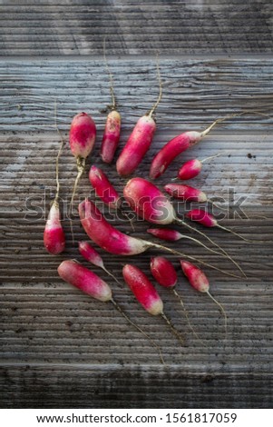 Radishes Arranged in Abstract Pattern