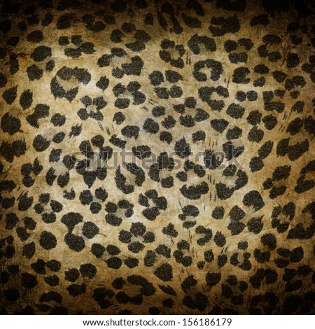 Wild animal skin pattern - leopard or cheetah