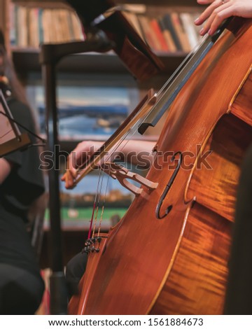 A vertical shot of a musician playing the violin in an orchestra
