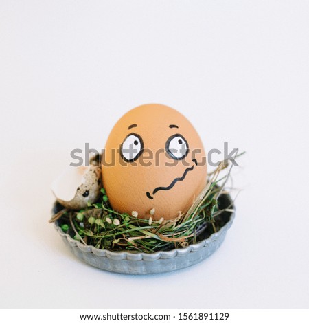 A depiction of a funny face on an egg in a cute small plate on a white background