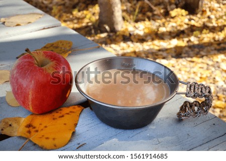 Picnic lunch outdoors in autumn season