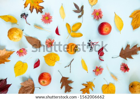 Top view of various colorful autumn fruits and leaves over scattered over light blue background. 