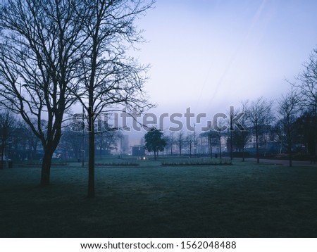 The mist early in morning