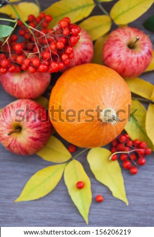 Harvested pumpkin, apples, ashberry and fall leaves on wooden board