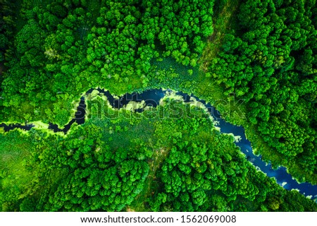 Amazing blooming algae on green river, aerial view Royalty-Free Stock Photo #1562069008