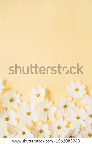 Minimal styled concept. White daisy chamomile flowers on pale yellow background. Creative lifestyle, summer, spring concept. Copy space, flat lay, top view.