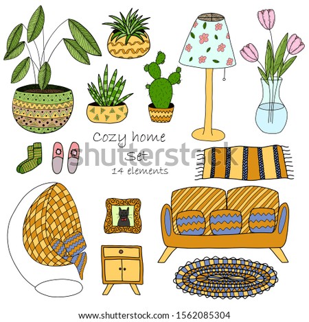 A set of elements on the theme of decor and comfort. Home furniture and indoor flowers. Hand-drawn color vector illustration. Objects are isolated on a white background.