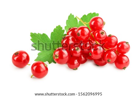 Red currant berries with leaf isolated on white background Royalty-Free Stock Photo #1562096995