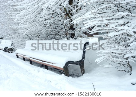 Snow covered empty wooden bench in winter city park