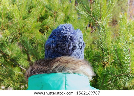 Young woman in blue knitted pompom hat looks at beautiful Christmas tree in the forest background. Back view. Christmas concept. The girl chooses a Christmas tree	