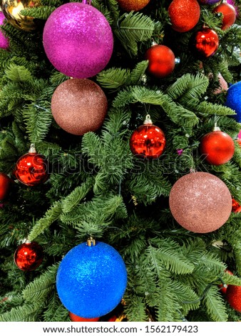 Red, purple, pink and blue baubles hanging from the branches of a traditional green pine Christmas tree