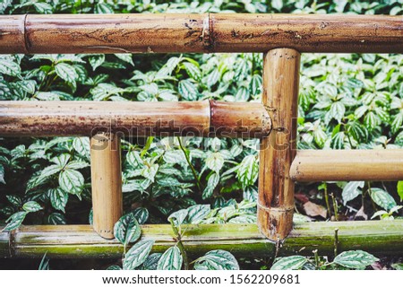 Close up picture of a bamboo fence in a park, selective focus, color toning applied.