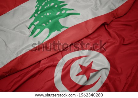 waving colorful flag of tunisia and national flag of lebanon. macro